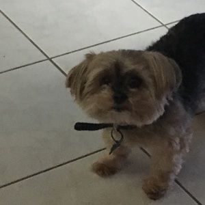 Meet your Posher, Brian